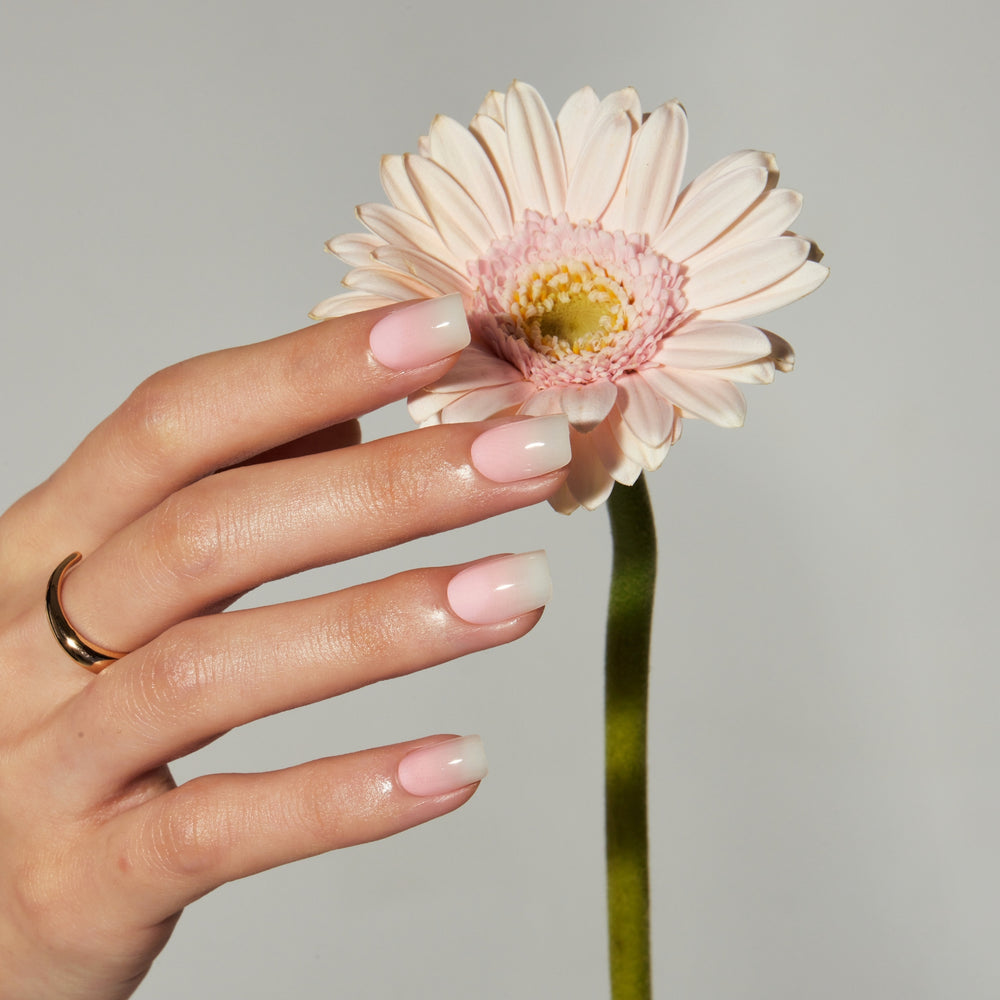 ROSY BLUSH