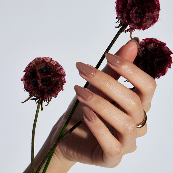 DRIED ROSE