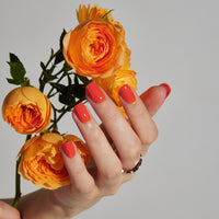 SPRITZ