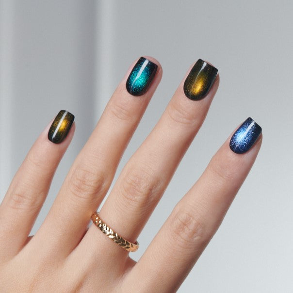CAT EYE BUNDLE