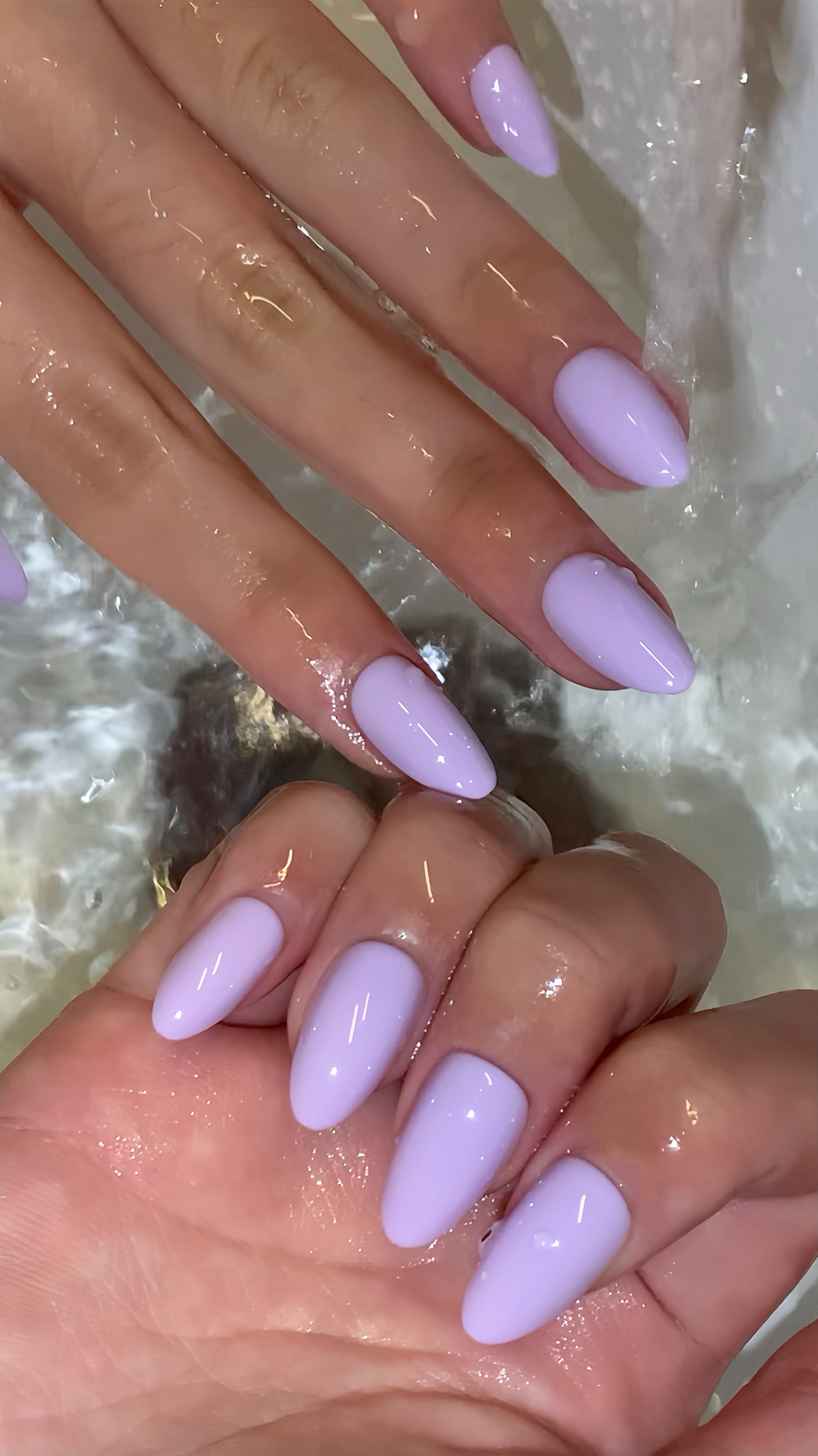 LILAC