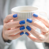 MAJORELLE BLUE