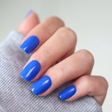 MAJORELLE BLUE