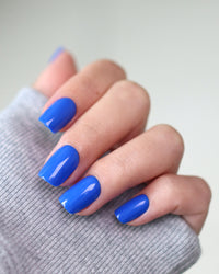 MAJORELLE BLUE